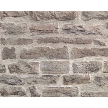 AS Creation Best of Wood'n Stone 2 Beige Grijs Vliesbehang