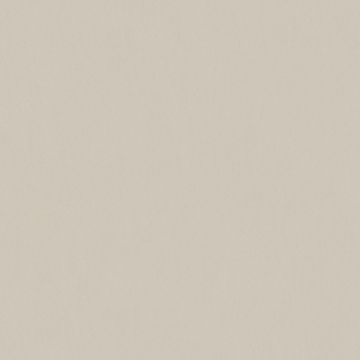 AS Creation Alpha Vliesbehang Beige/Crème – Badkamer geschikt